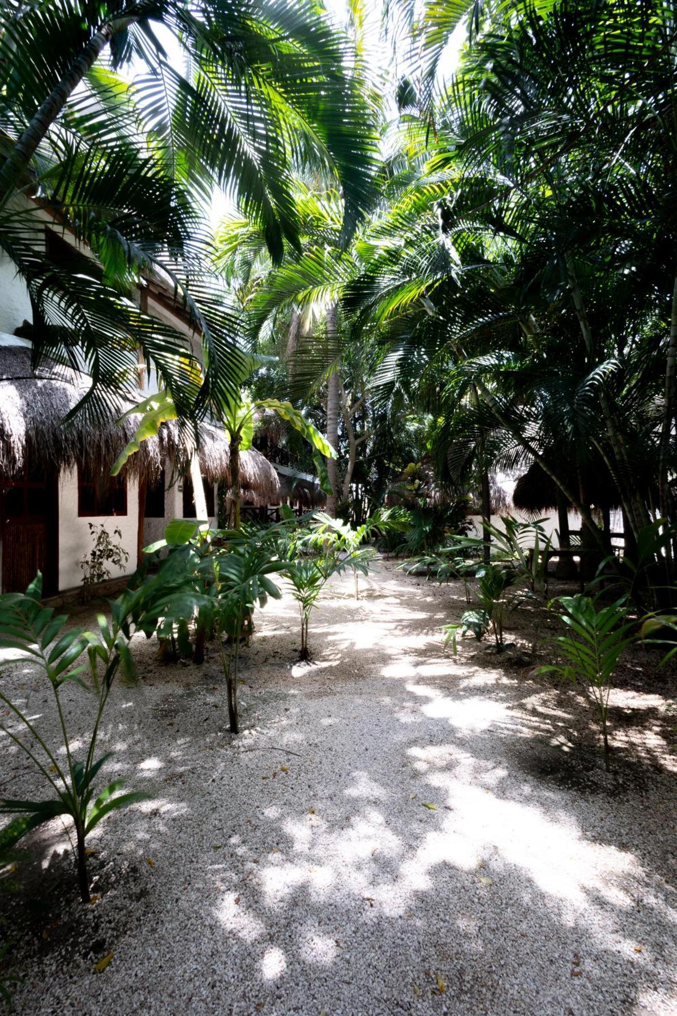 Hotel Casa Barbara Holbox Exterior photo