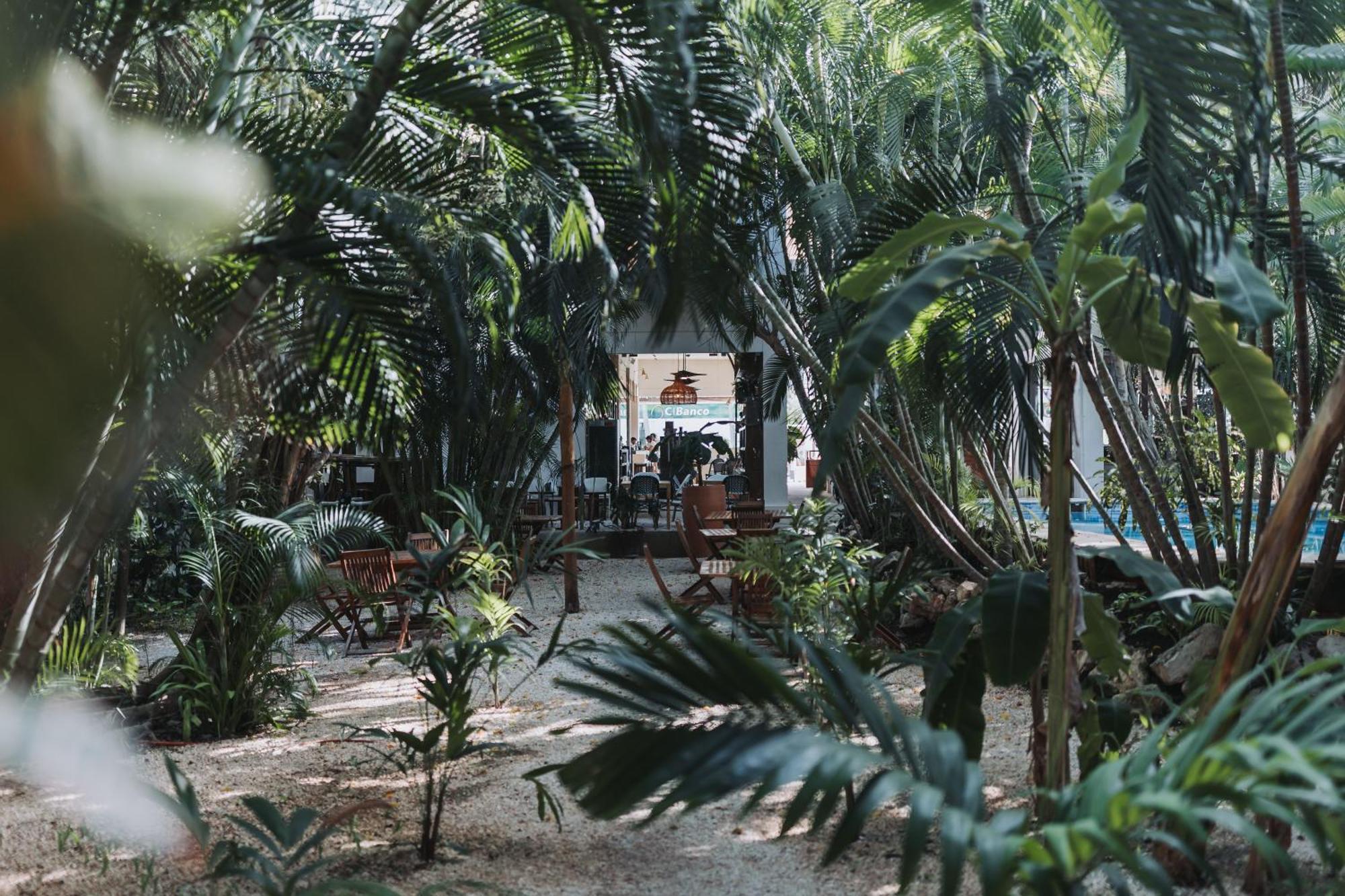 Hotel Casa Barbara Holbox Exterior photo